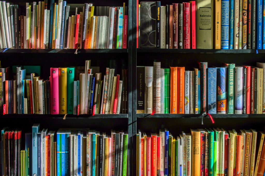 Shelves full of books